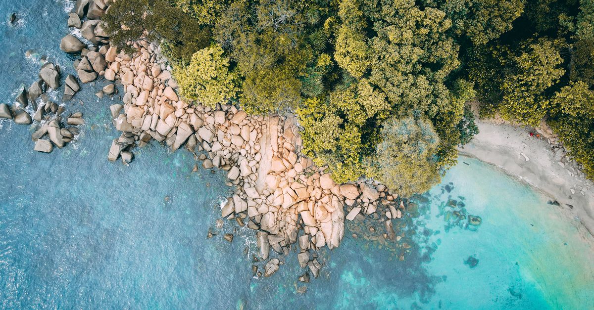 découvrez les îles perhentian : plages paradisiaques, snorkeling, plongée, hébergements et conseils pratiques pour préparer votre séjour en malaisie.