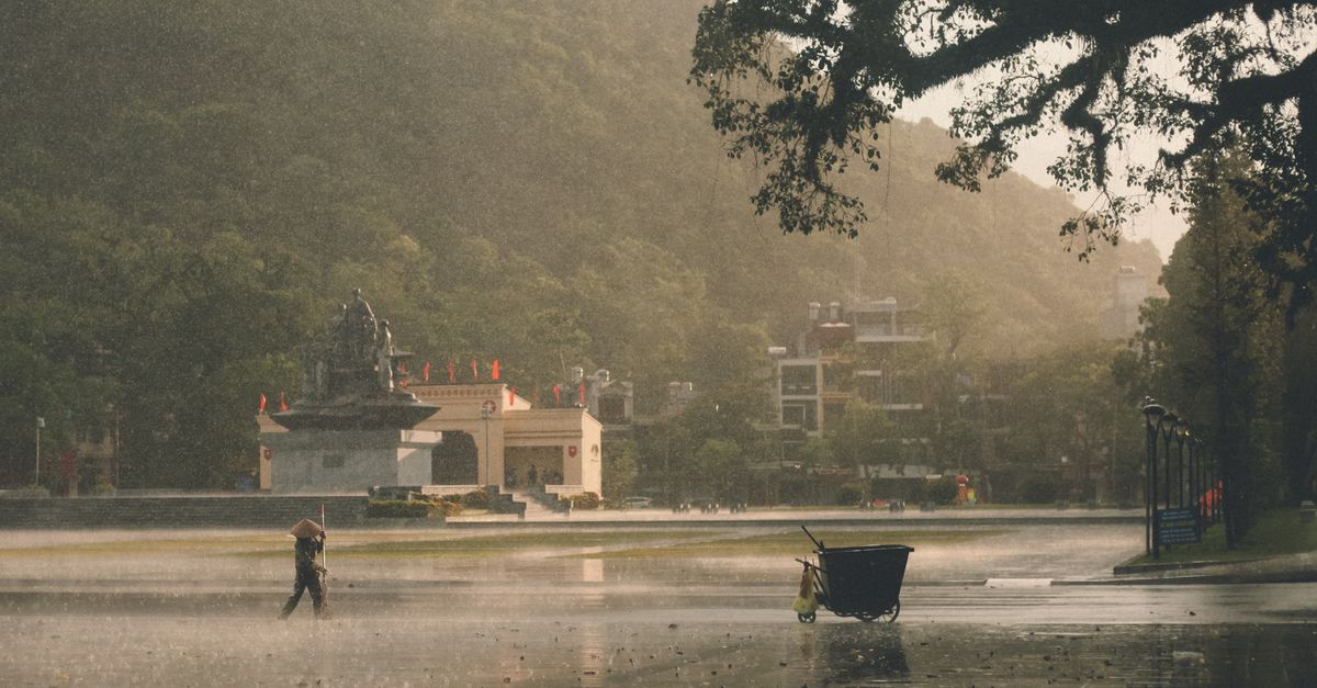 Plage embrumée et rivage sous la pluie, avec un abri au loin