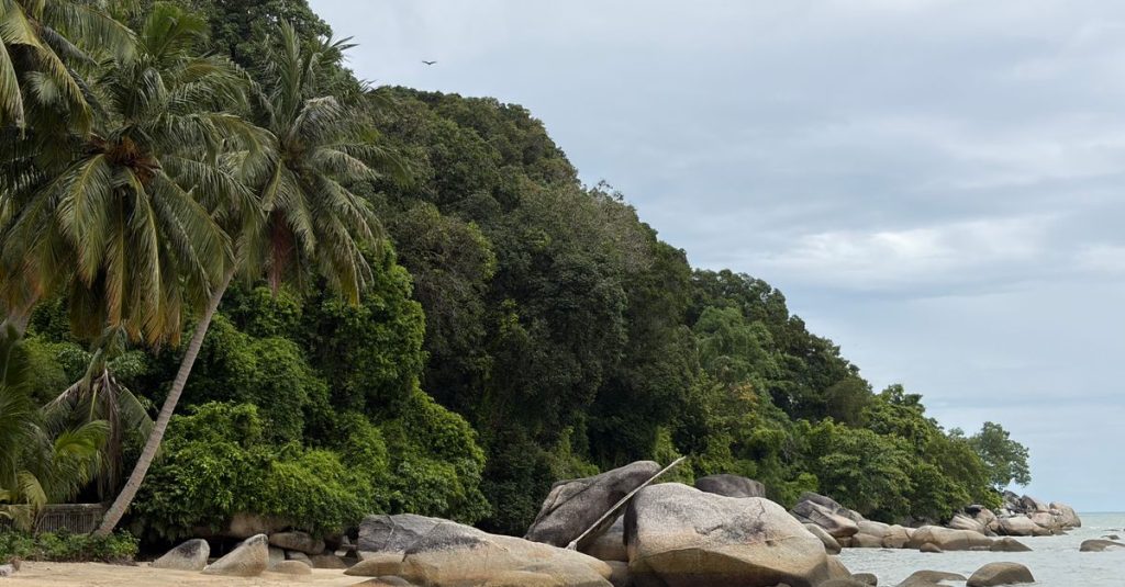 découvrez les plus belles plages de penang, entre sable doré, eaux turquoise et paysages tropicaux, pour une escapade détente en malaisie.