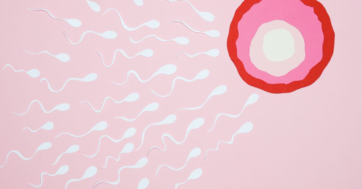 Cliniques de fertilité et pma en malaisie : guide pour les couples étrangers