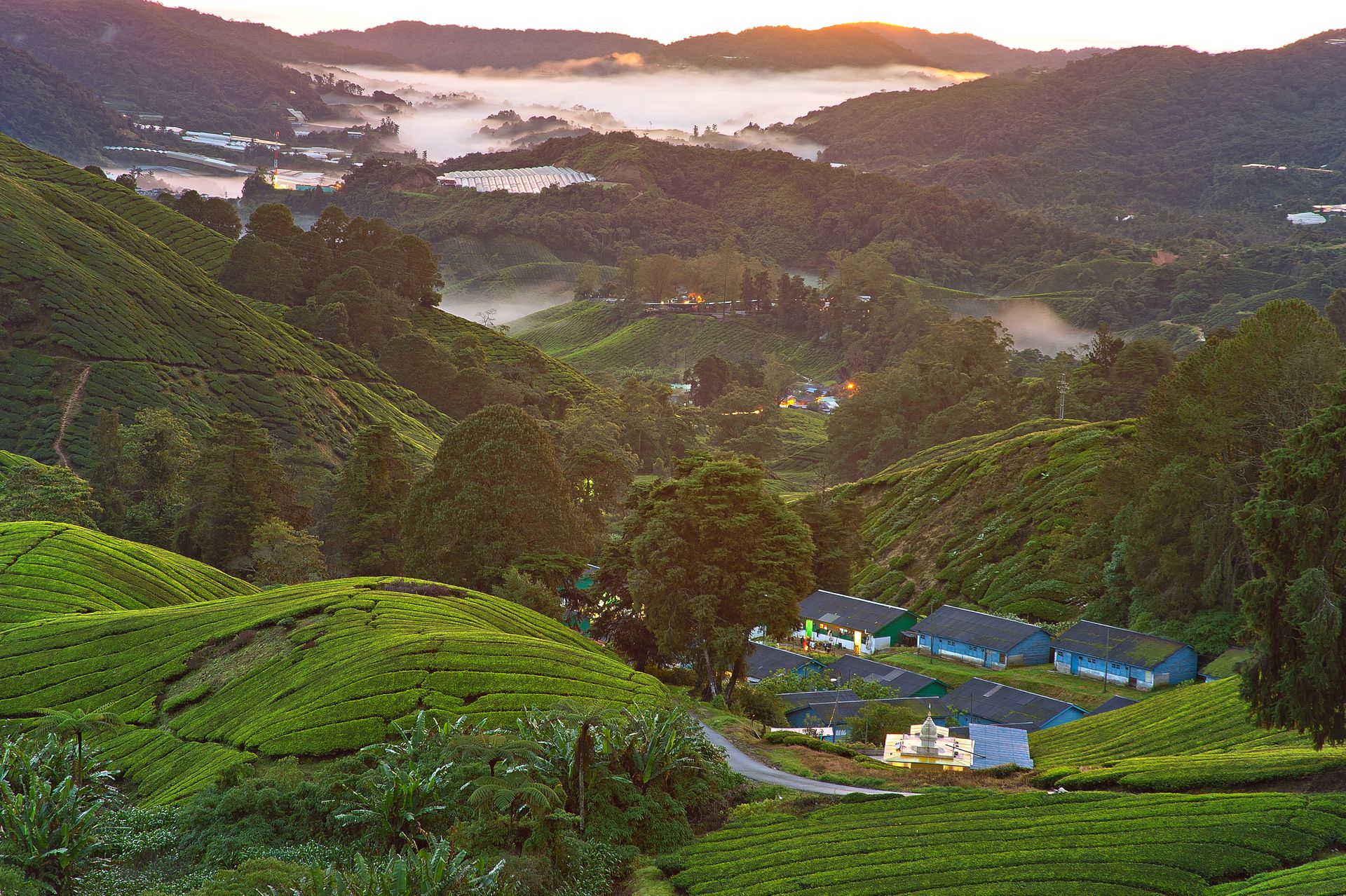 Hôtel confortable avec vue sur les collines des Cameron Highlands