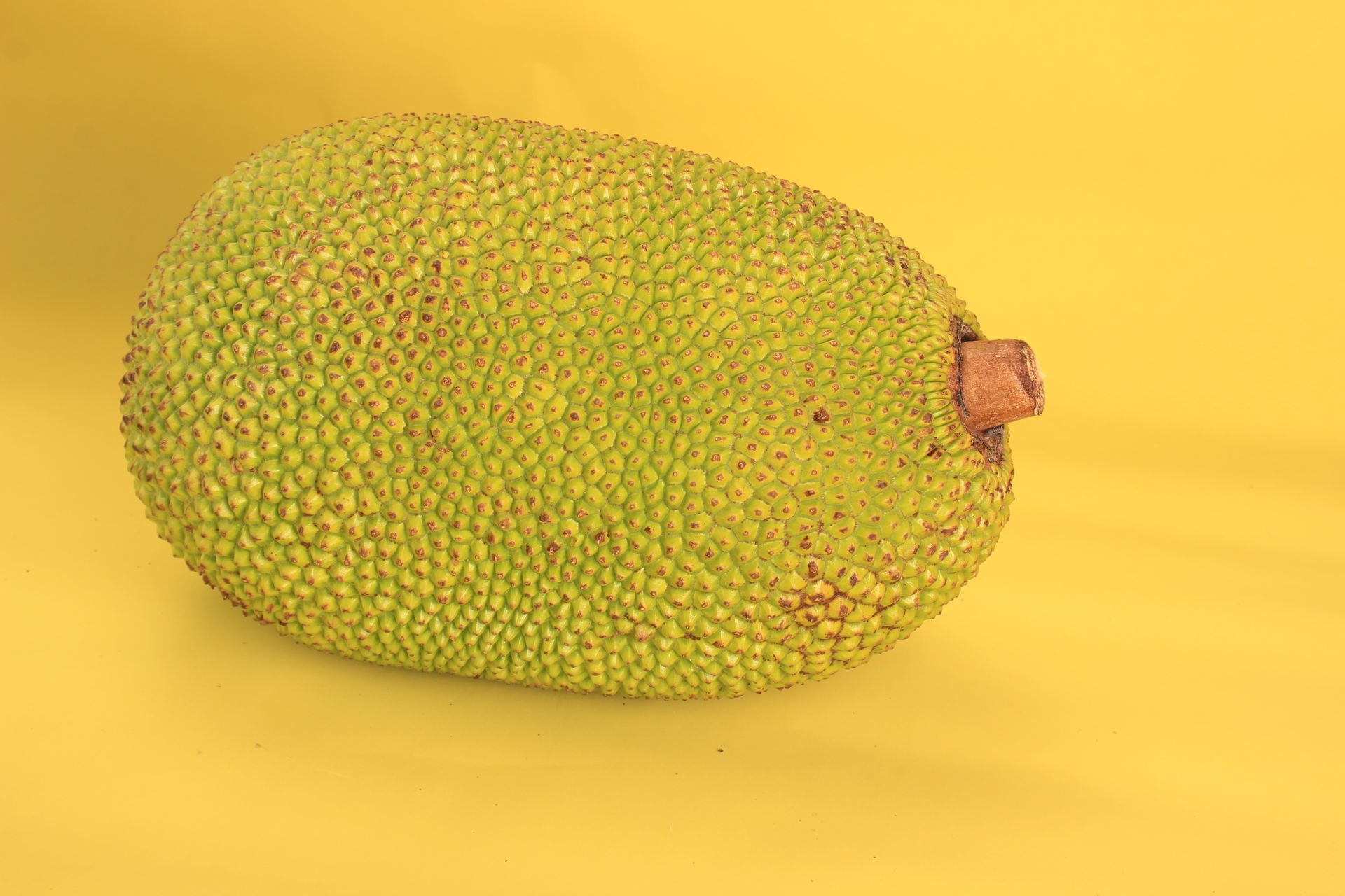 Durian ouvert