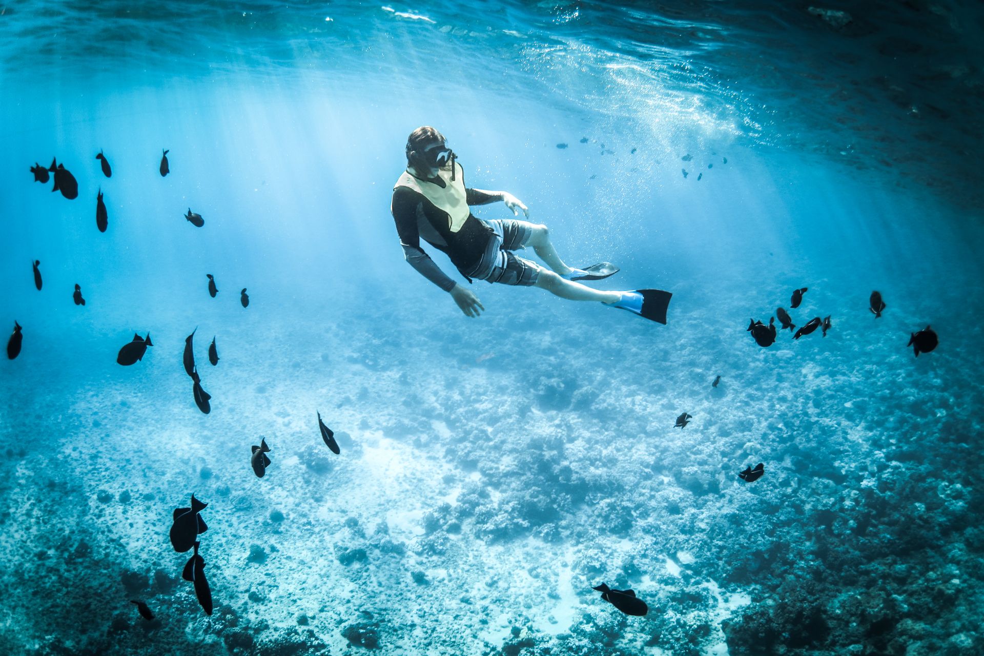 Snorkeling Perhentian
