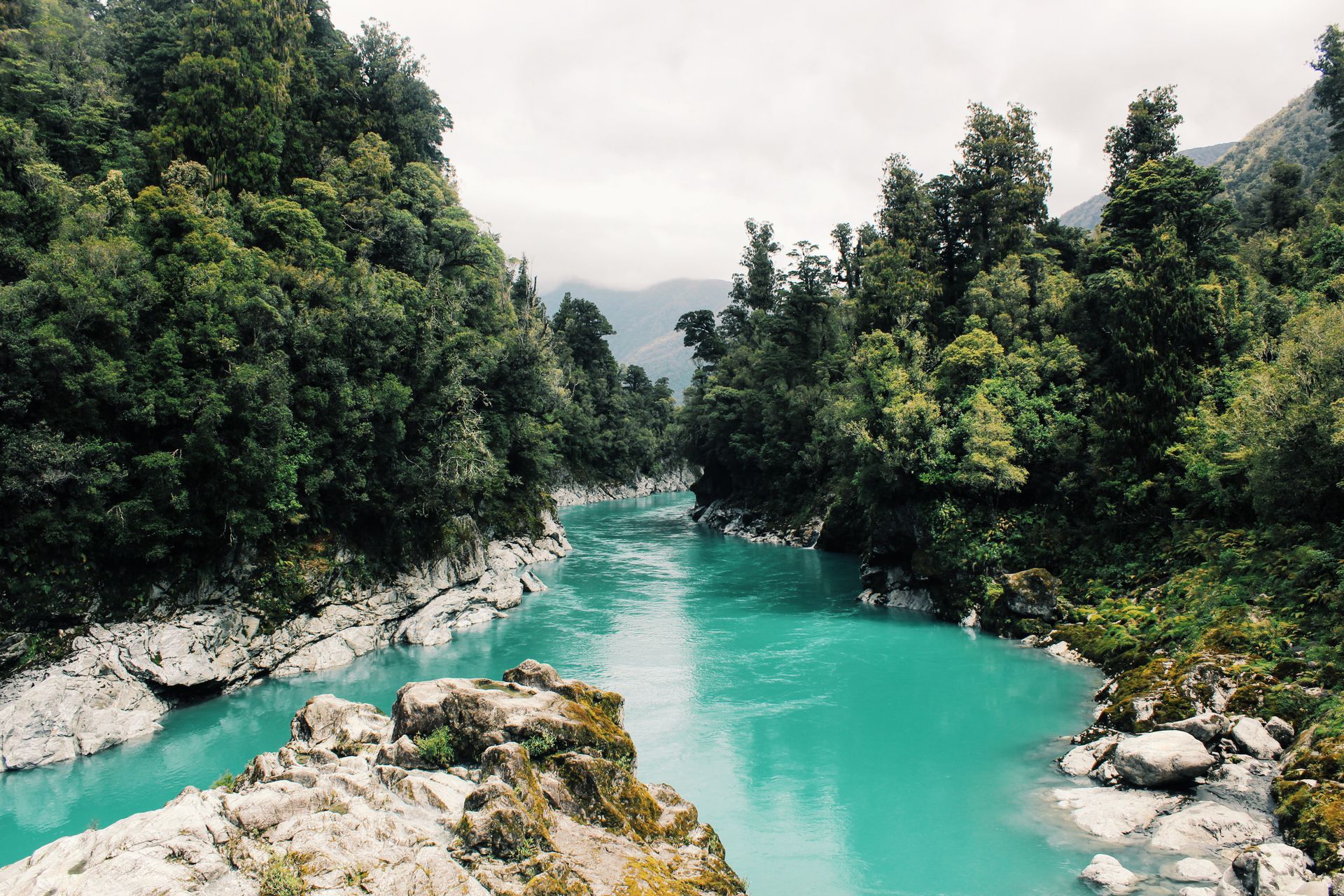 Taman Negara