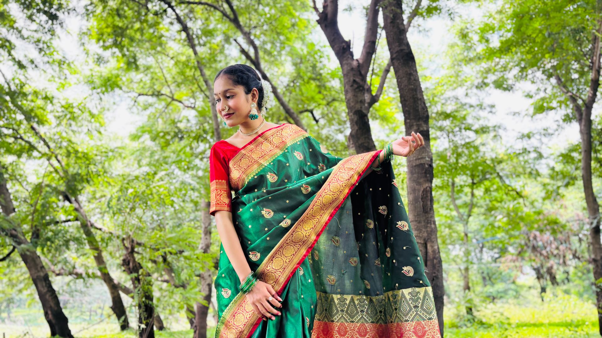 Sari Indien