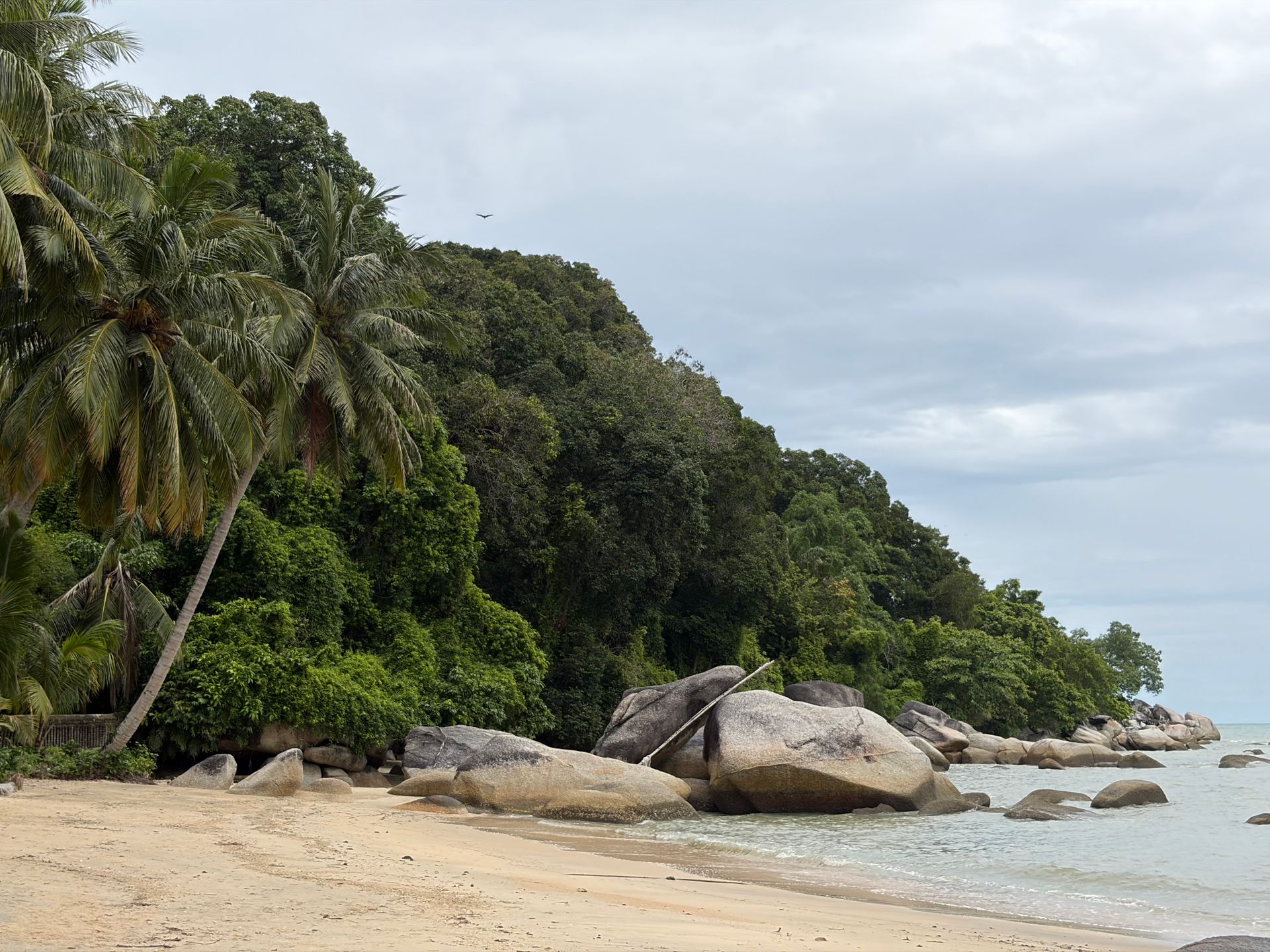 Parc National de Penang