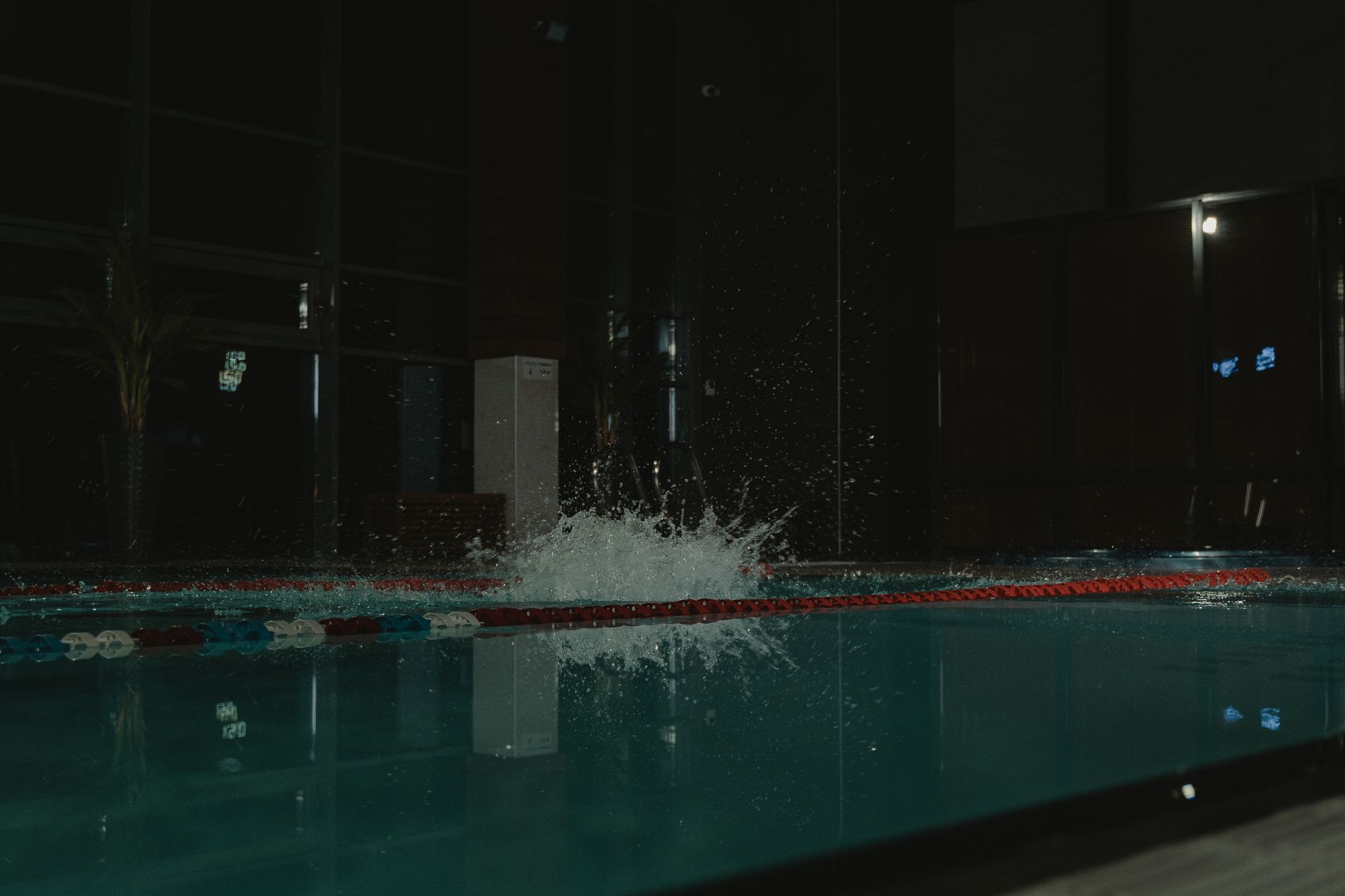 Piscine olympique