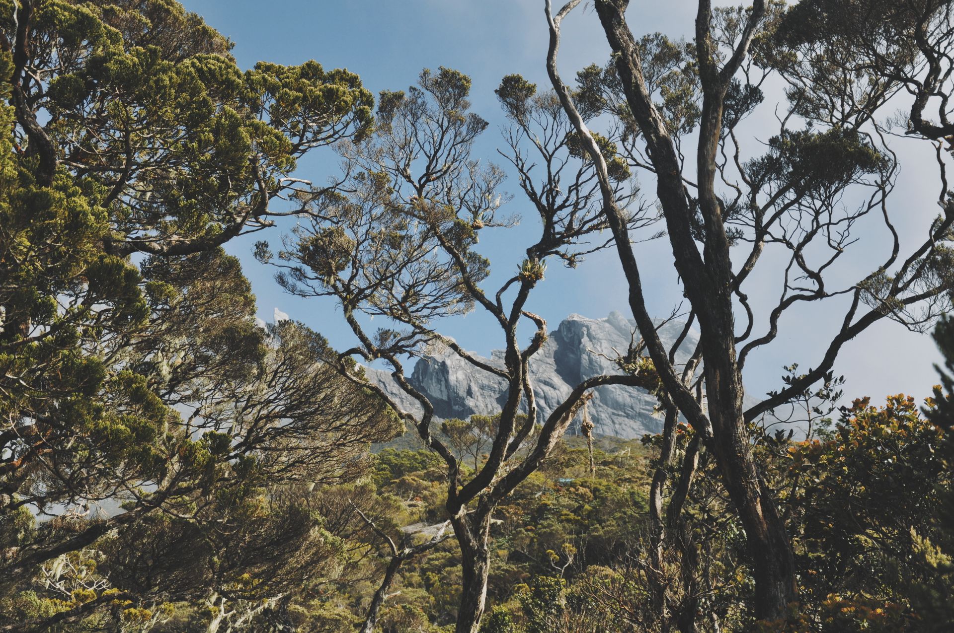 Parc national de Bako